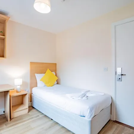 Modern Comfortable In *