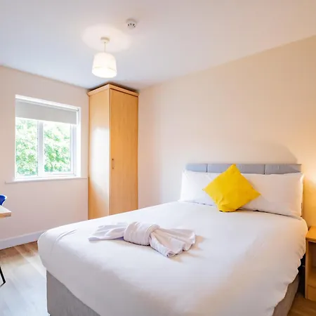 Modern Comfortable In *